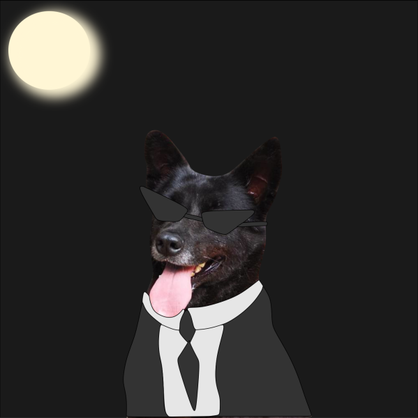 olivia-dog-ig-post-5.png olivia-dog-ig-post-5.png