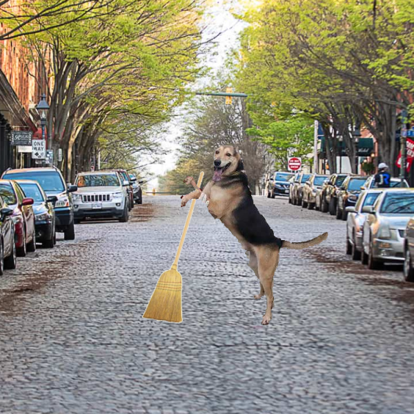 brendon-dog-ig-post-14.png brendon-dog-ig-post-14.png