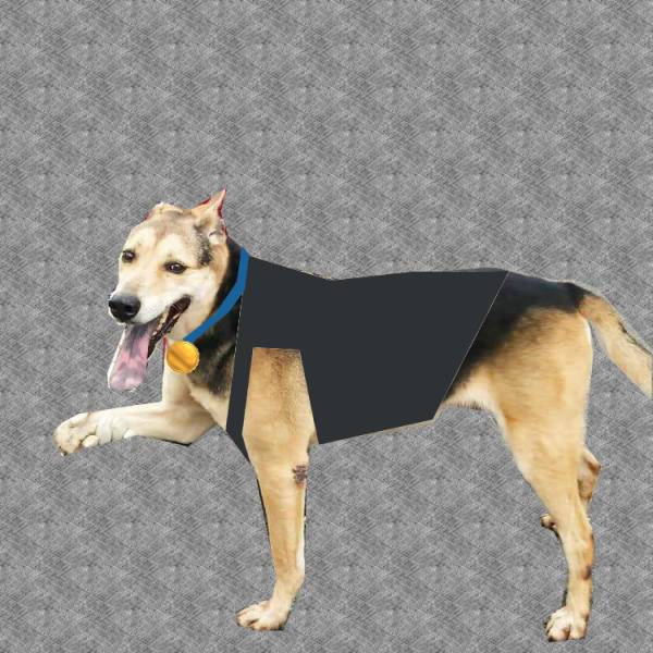 brendon-dog-ig-post-24.jpg brendon-dog-ig-post-24.jpg