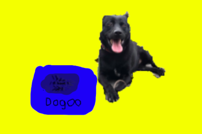 doge2.png doge2.png