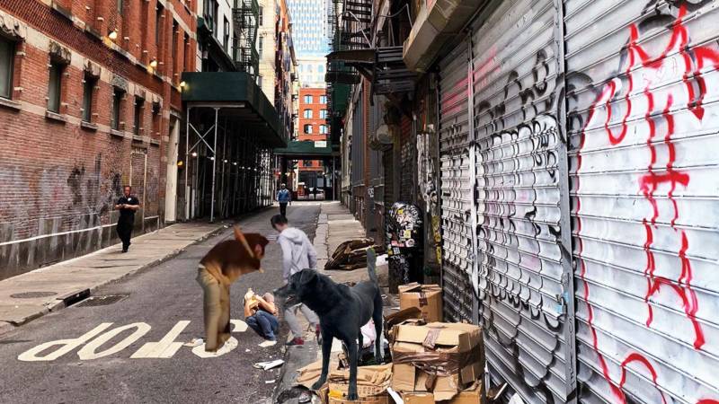 bullied-1-_1.jpg bullied-1-_1.jpg