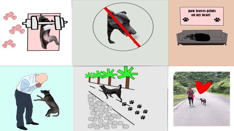 happy_sp3.jpg happy_sp3.jpg