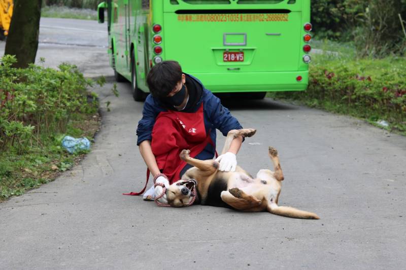 c765423f55695ab33ea365299a3fec301_4620693218523755588_210519_76.jpg c765423f55695ab33ea365299a3fec301_4620693218523755588_210519_76.jpg