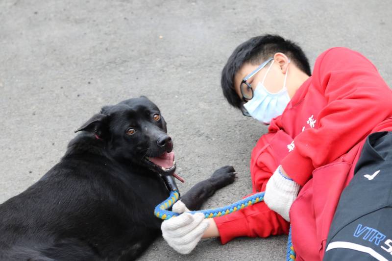 c765423f55695ab33ea365299a3fec301_4620693218523755588_210519_97.jpg c765423f55695ab33ea365299a3fec301_4620693218523755588_210519_97.jpg