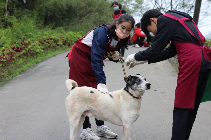 c765423f55695ab33ea365299a3fec301_4620693218523755588_210519_124.jpg c765423f55695ab33ea365299a3fec301_4620693218523755588_210519_124.jpg