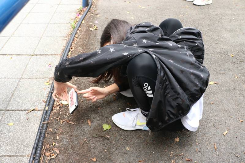 dayofdog8.jpg dayofdog8.jpg