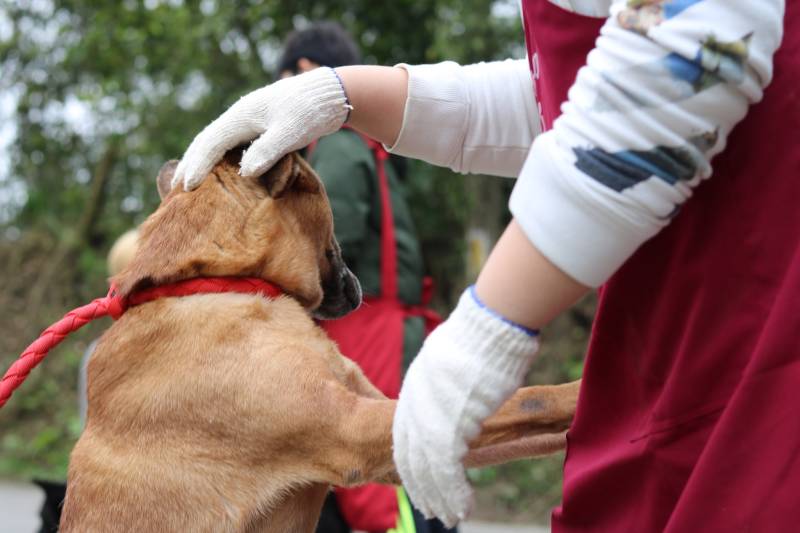 c765423f55695ab33ea365299a3fec301_4620693218523755588_210519_48.jpg c765423f55695ab33ea365299a3fec301_4620693218523755588_210519_48.jpg