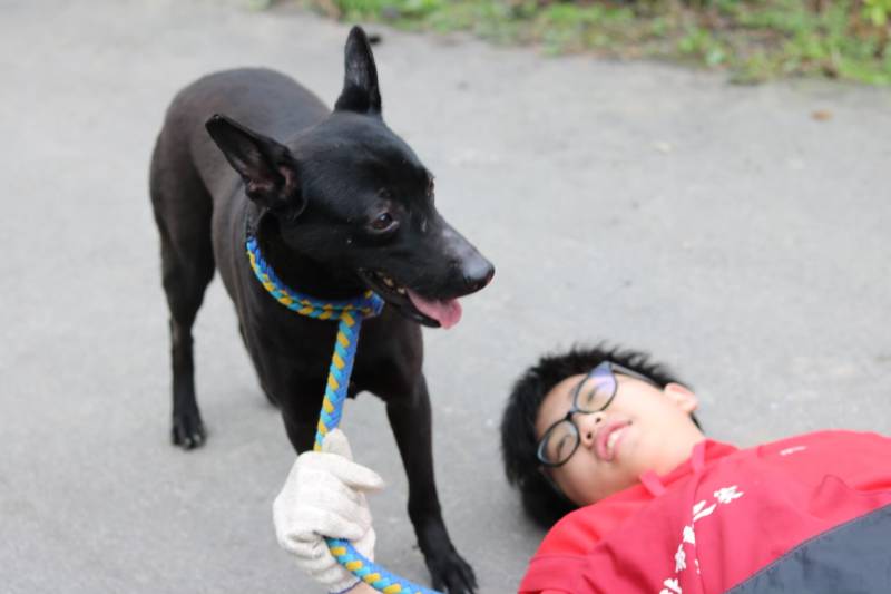 c765423f55695ab33ea365299a3fec301_4620693218523755588_210519_159.jpg c765423f55695ab33ea365299a3fec301_4620693218523755588_210519_159.jpg