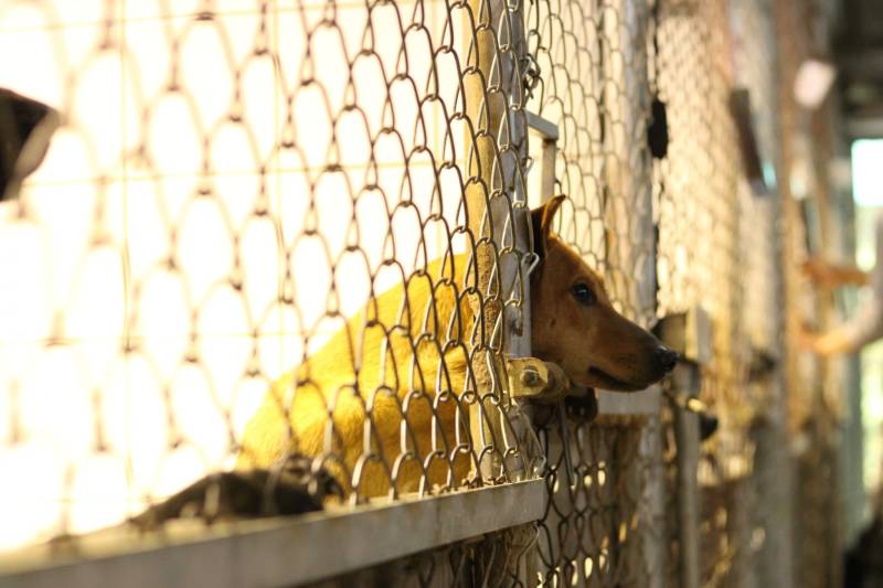 c765423f55695ab33ea365299a3fec301_4620693218523755588_210519_108.jpg c765423f55695ab33ea365299a3fec301_4620693218523755588_210519_108.jpg