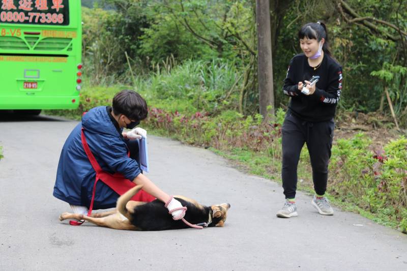 c765423f55695ab33ea365299a3fec301_4620693218523755588_210519_83.jpg c765423f55695ab33ea365299a3fec301_4620693218523755588_210519_83.jpg