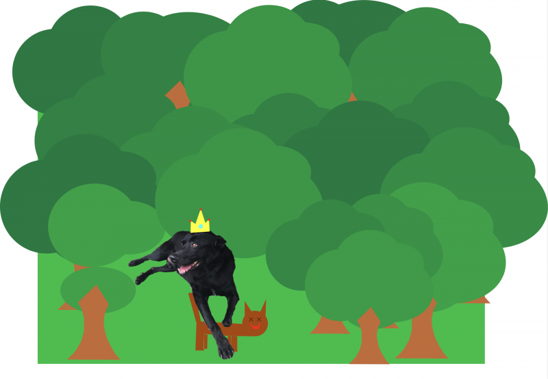 anna-4-4.png anna-4-4.png