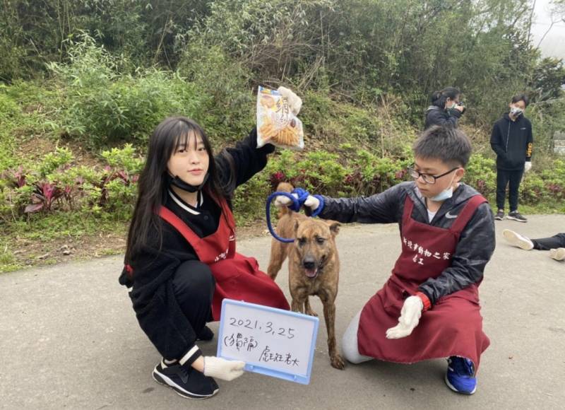 daniel-steves-dog.jpg daniel-steves-dog.jpg