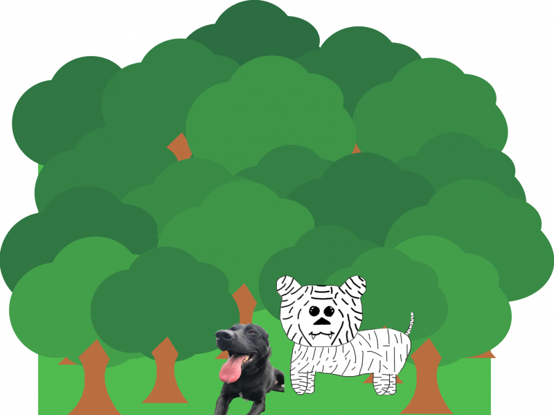 anna-3-4.png anna-3-4.png