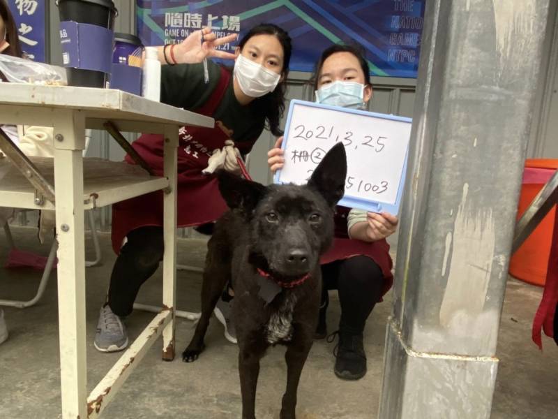 whiteborad-yoda.jpeg whiteborad-yoda.jpeg