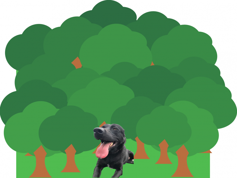 anna-3-1.png anna-3-1.png