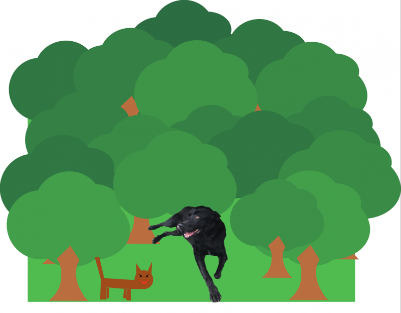 anna-4-2.png anna-4-2.png