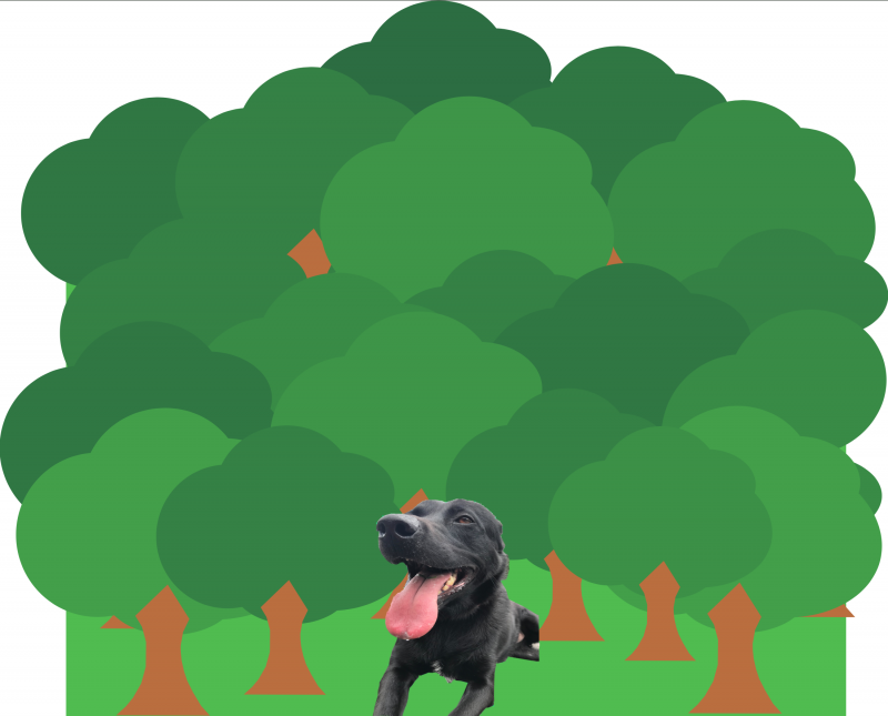 anna-4-1.png anna-4-1.png