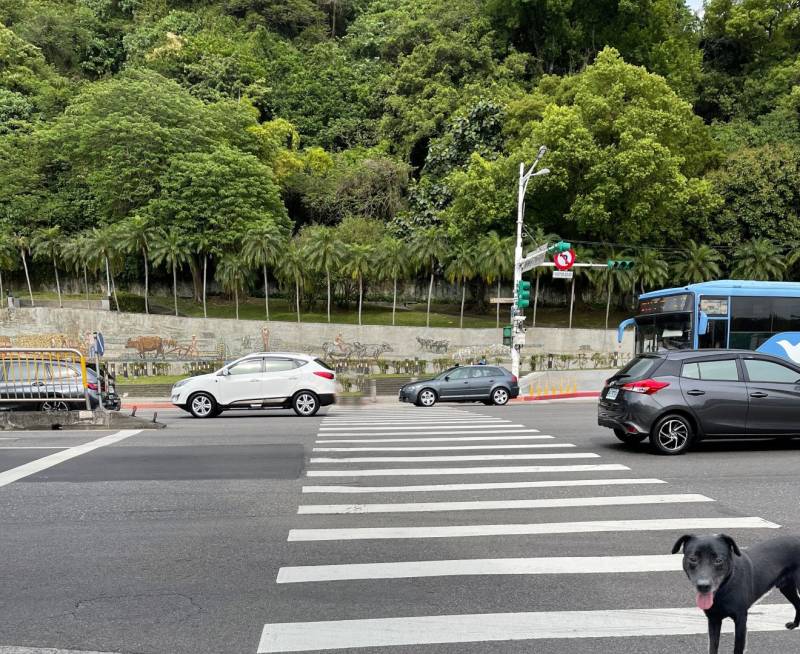 street-green_2_.jpg street-green_2_.jpg