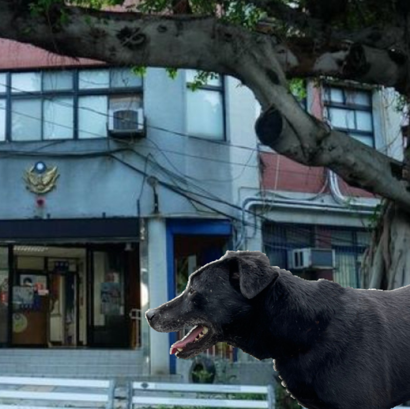 police-1.png police-1.png