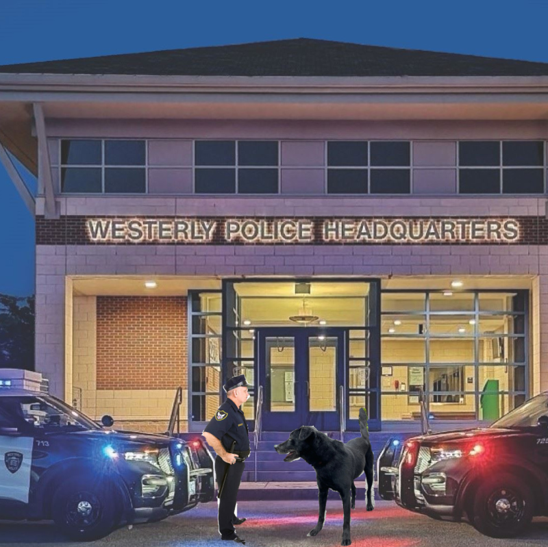 police-2_.png police-2_.png