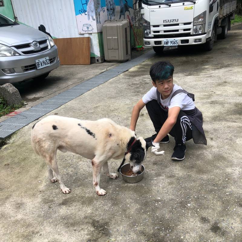 runiu-adopt-sq2.jpg runiu-adopt-sq2.jpg