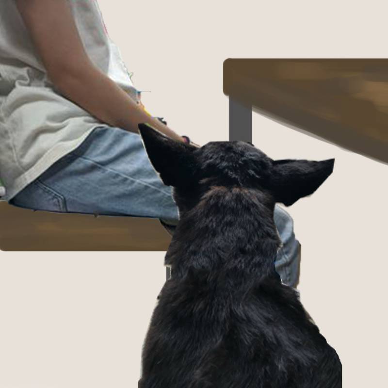 shannia-yuna-dog-post-sp1f3.jpg shannia-yuna-dog-post-sp1f3.jpg