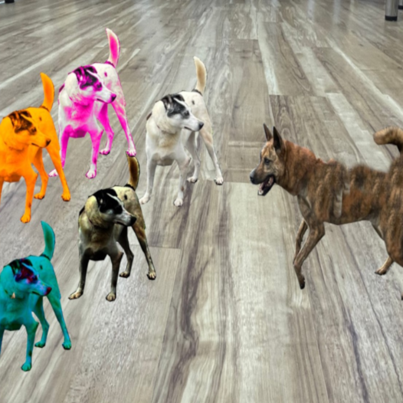 steve_1080_sp1_f4.png steve_1080_sp1_f4.png