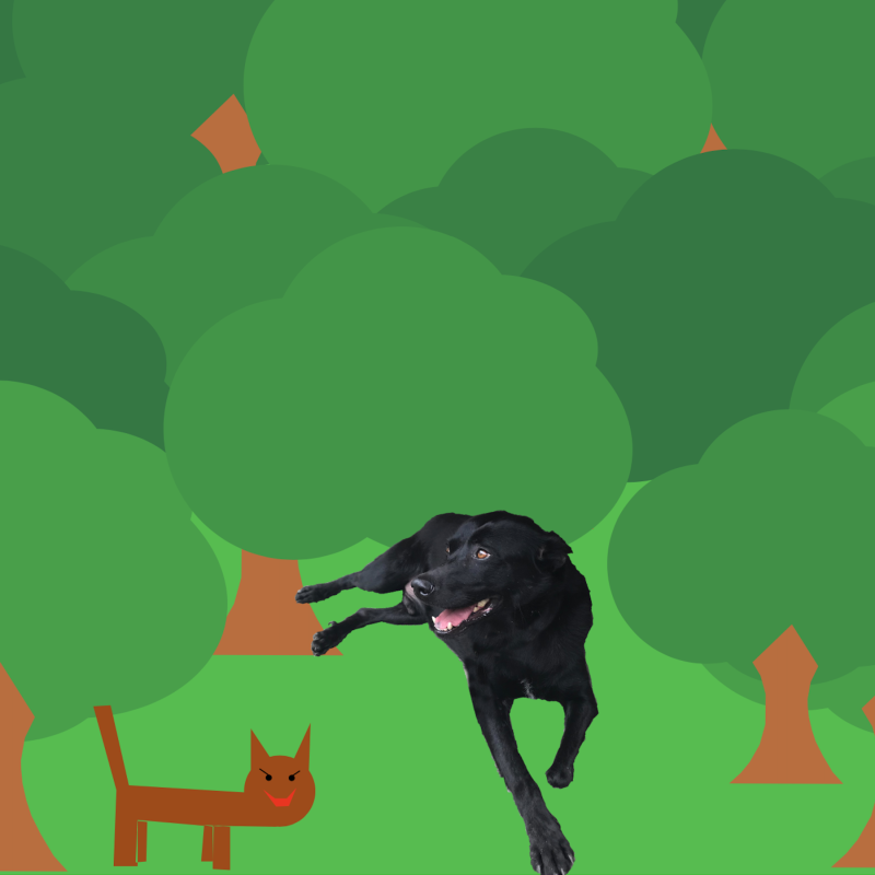 anna-dog-06.png anna-dog-06.png