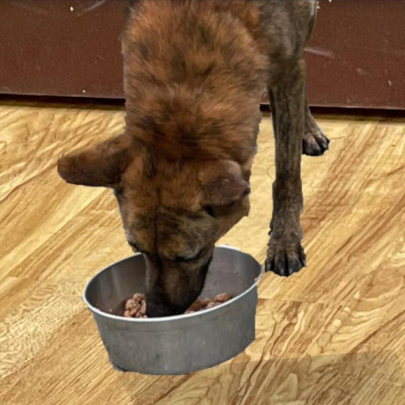 steve_1080_sp1_f1.png steve_1080_sp1_f1.png