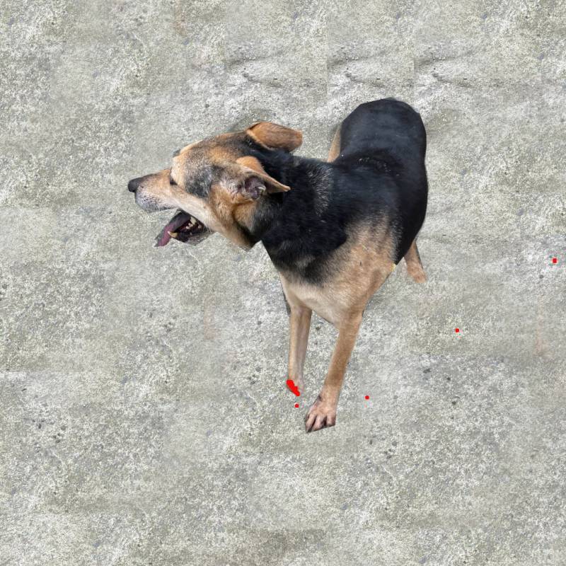 brendon-dog-ig-post-9.jpg brendon-dog-ig-post-9.jpg