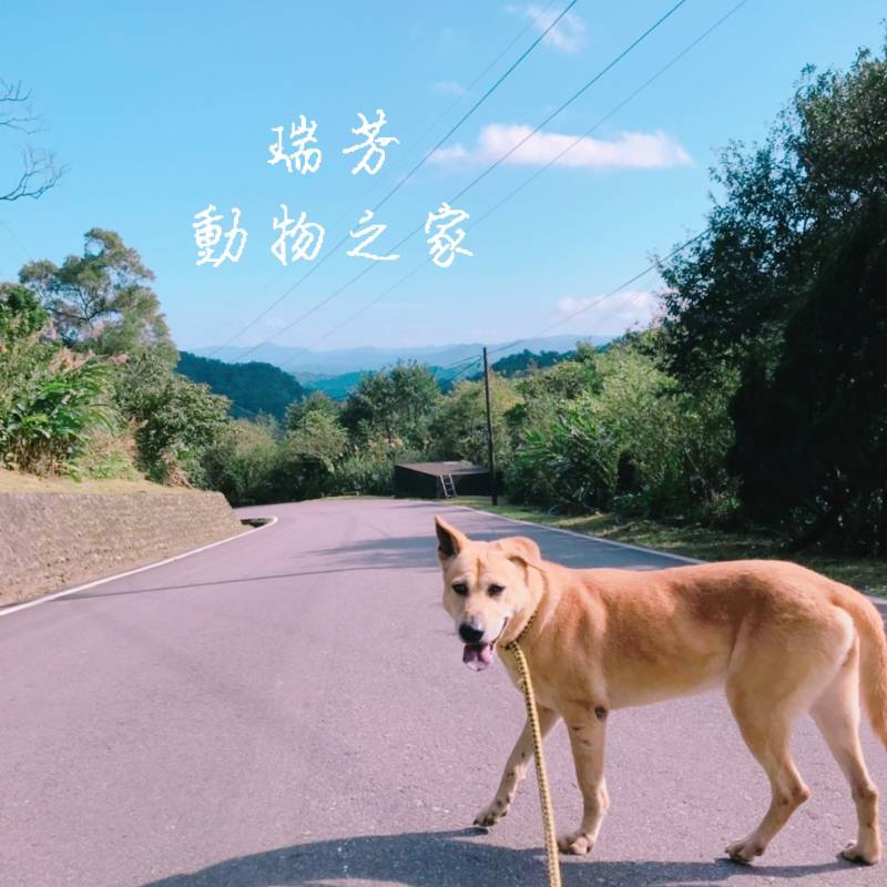 ruifang_logo_new.jpg ruifang_logo_new.jpg