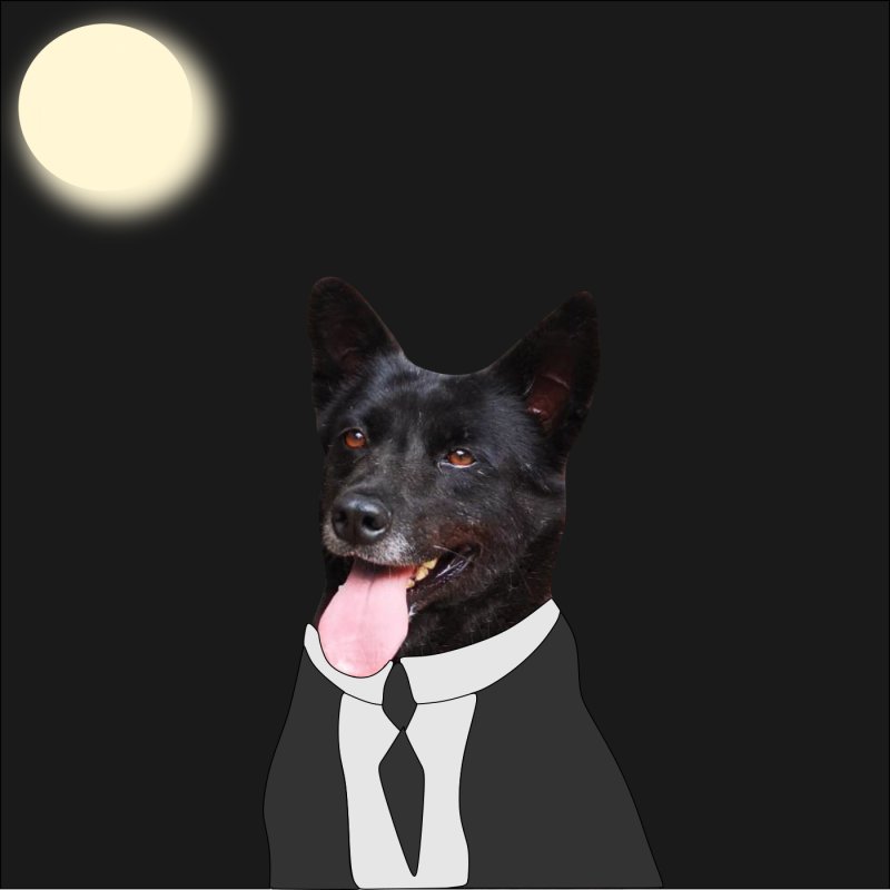 olivia-dog-ig-post-4.png olivia-dog-ig-post-4.png