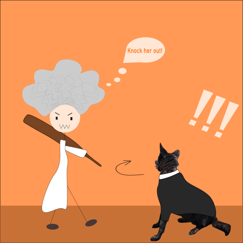 olivia-dog-ig-post-10.png olivia-dog-ig-post-10.png