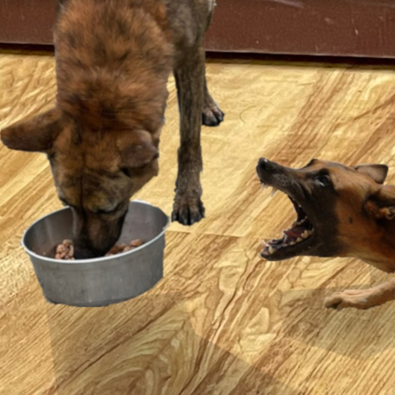 steve_1080_sp1_f2.png steve_1080_sp1_f2.png