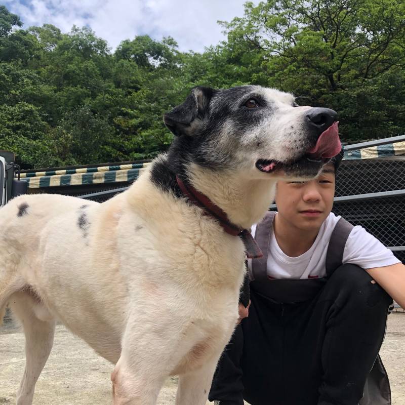 runiu-adopt-sq3.jpg runiu-adopt-sq3.jpg