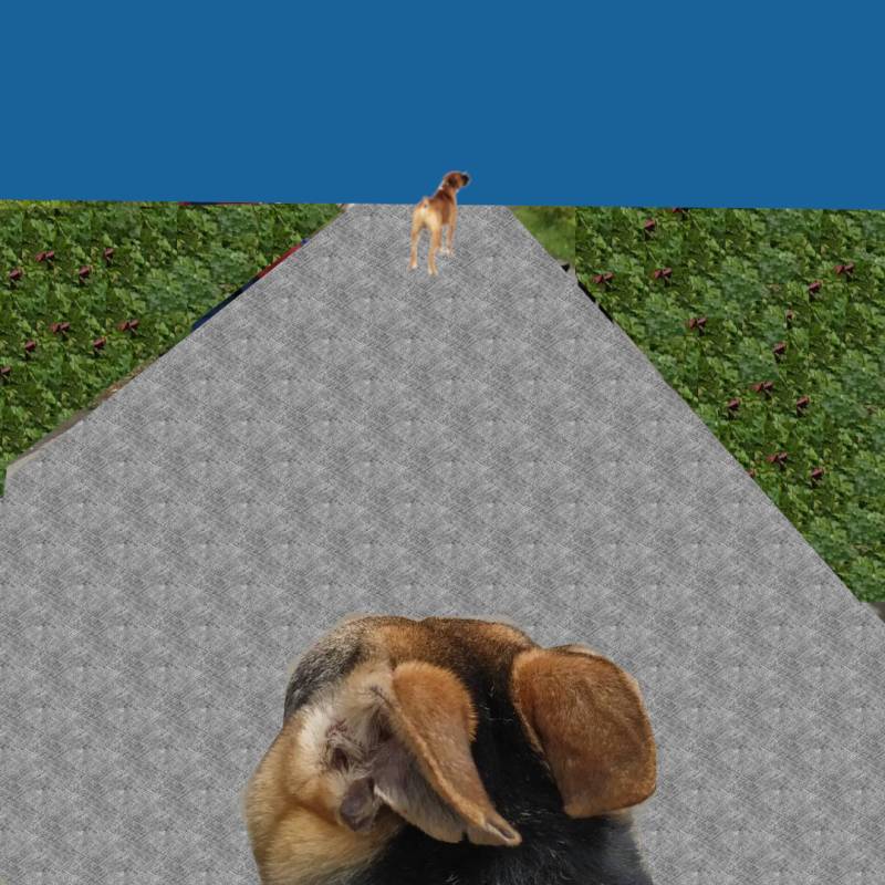 brendon-dog-ig-post-23.jpg brendon-dog-ig-post-23.jpg