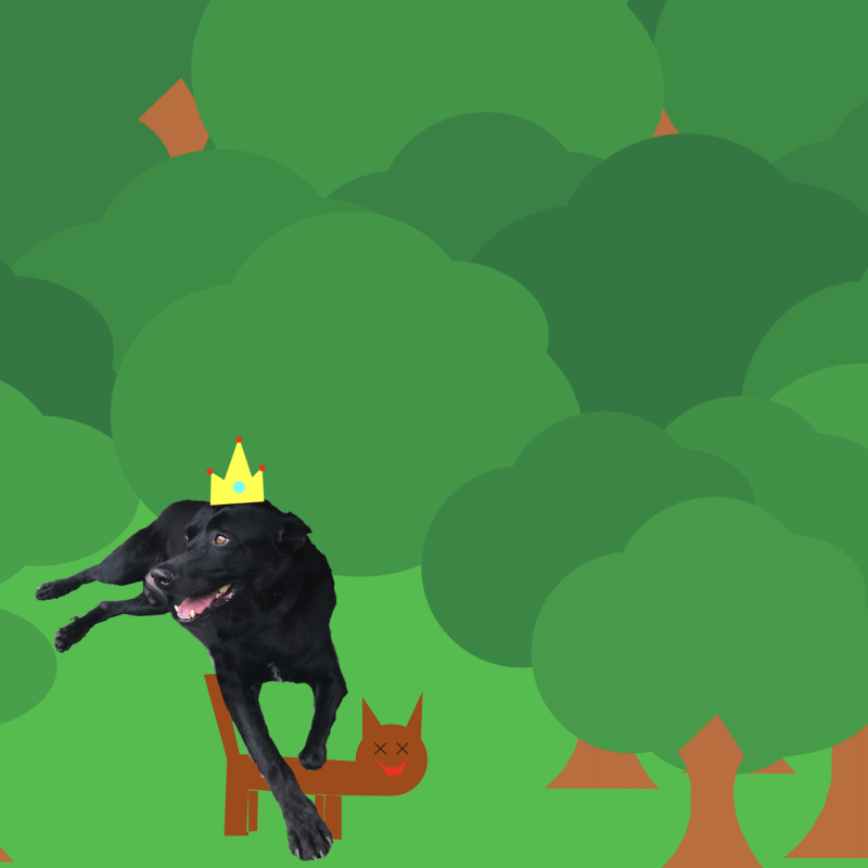 anna-dog-08.png anna-dog-08.png