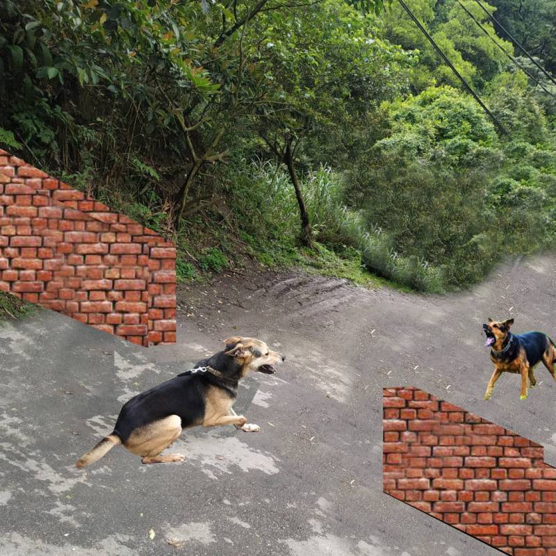 brendon-dog-ig-post-19.jpg brendon-dog-ig-post-19.jpg