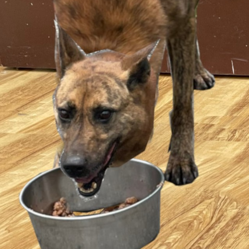 steve_1080_sp1_f3.png steve_1080_sp1_f3.png