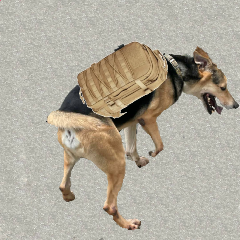 brendon-dog-ig-post-13.png brendon-dog-ig-post-13.png