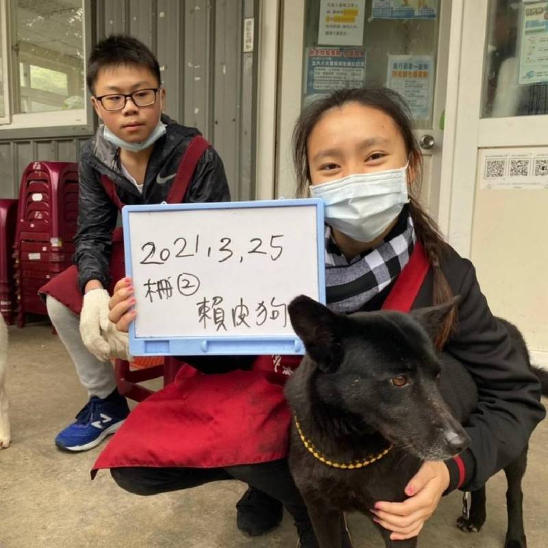 siara-number.jpg siara-number.jpg