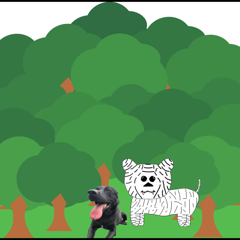 anna-dog-04.png anna-dog-04.png