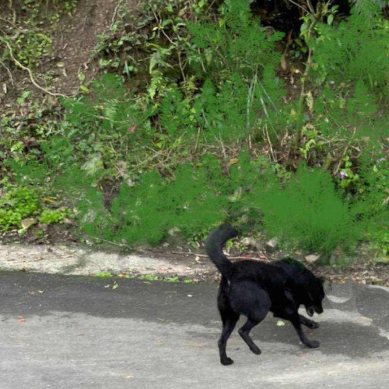 person-dying-1.jpg person-dying-1.jpg