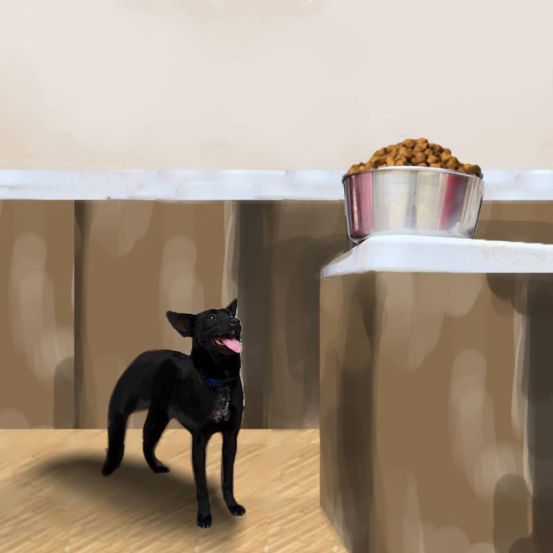 shannia-yuna-dog-post-sp2f1.jpg shannia-yuna-dog-post-sp2f1.jpg