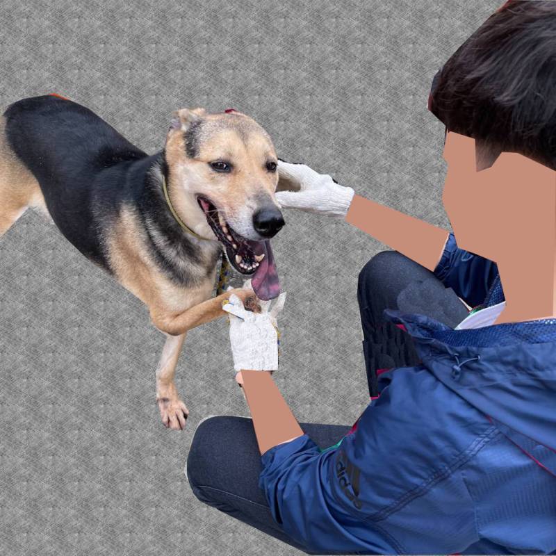 brendon-dog-ig-post-22.jpg brendon-dog-ig-post-22.jpg