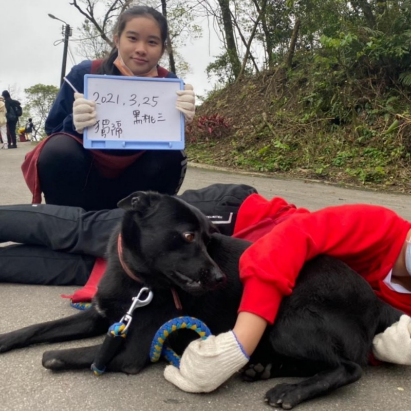 anna-dognumber.png anna-dognumber.png