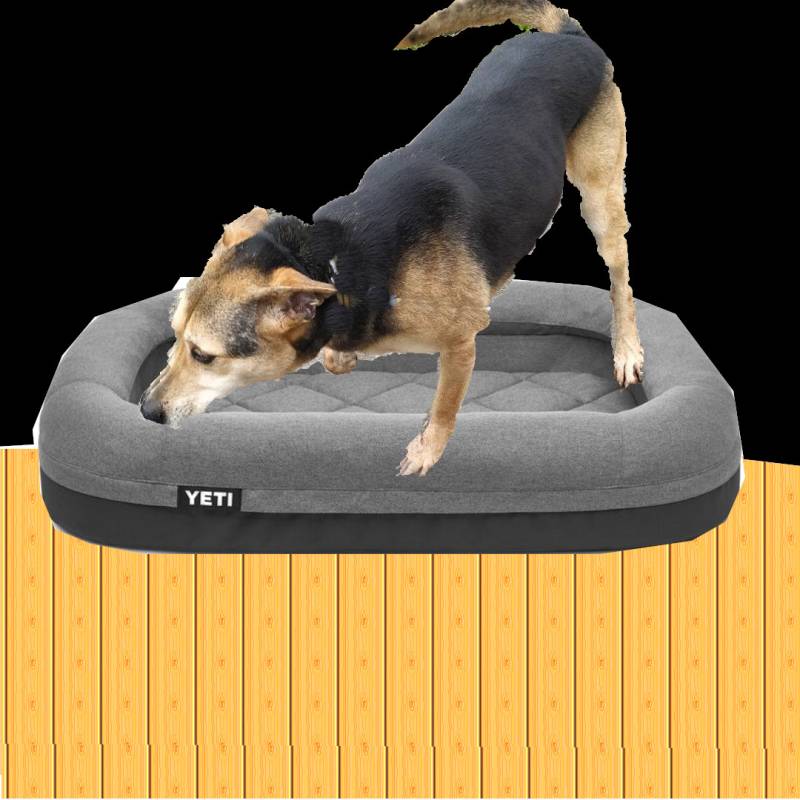 brendon-dog-ig-post-12.jpg brendon-dog-ig-post-12.jpg