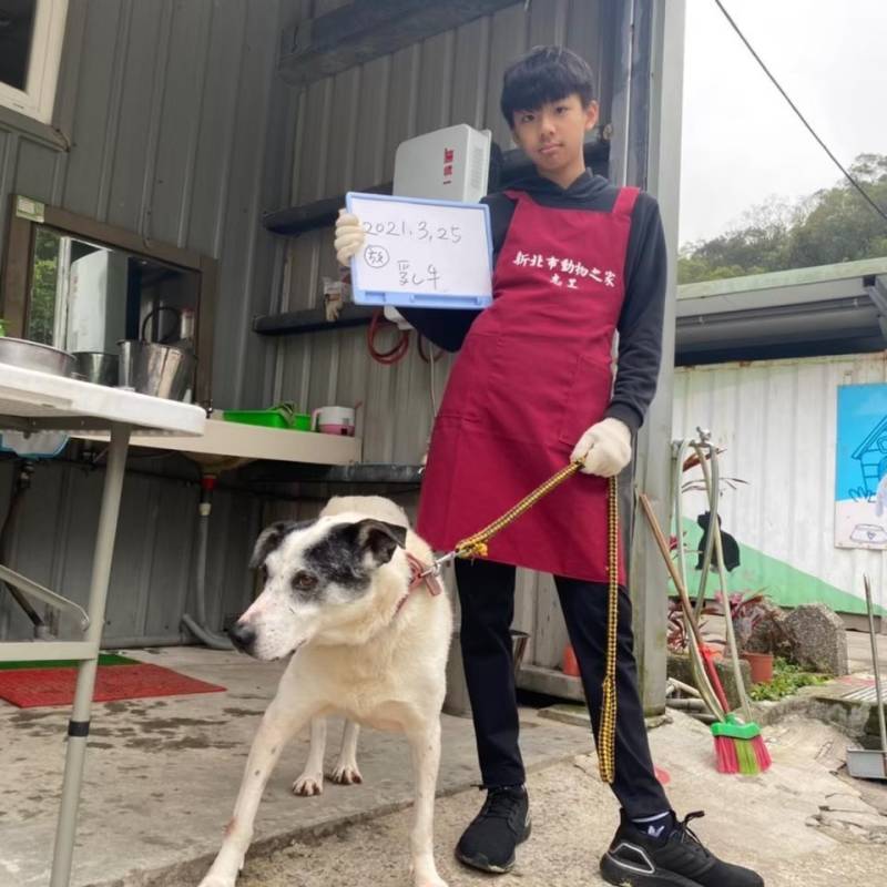 babo_的狗.jpg babo_的狗.jpg