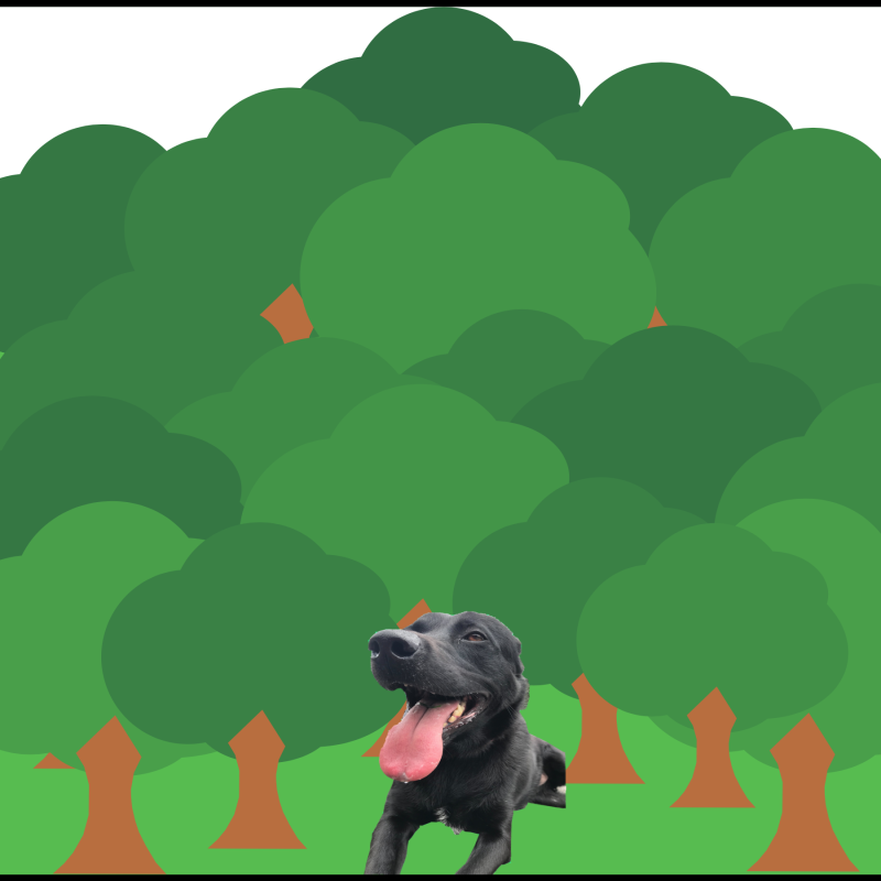 anna-dog-05.png anna-dog-05.png