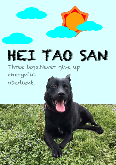 Hei Tao San